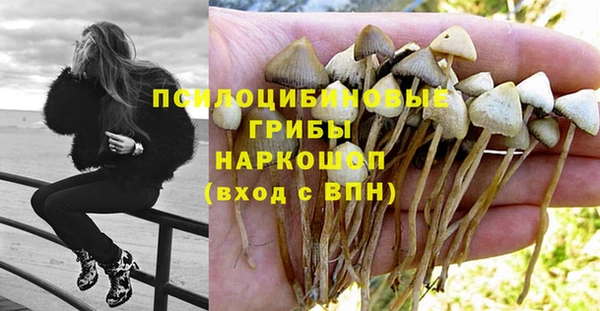 молекула духа Верея