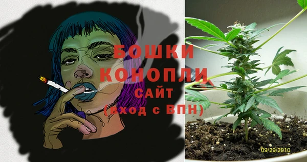молекула духа Верея